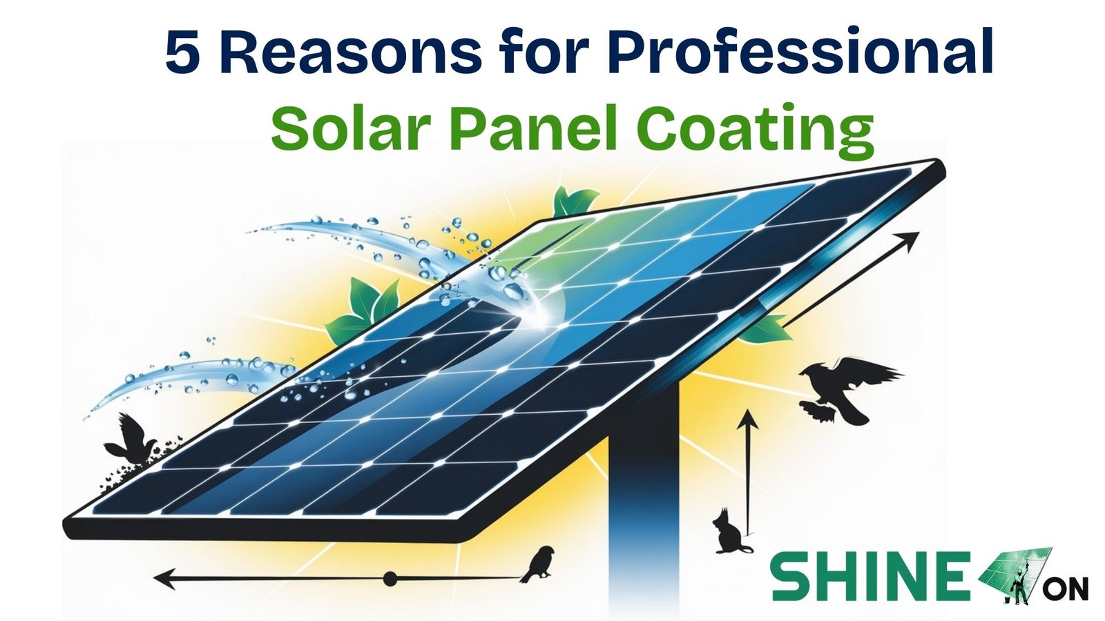 5 Reasons for Professional Solar Panel Coating