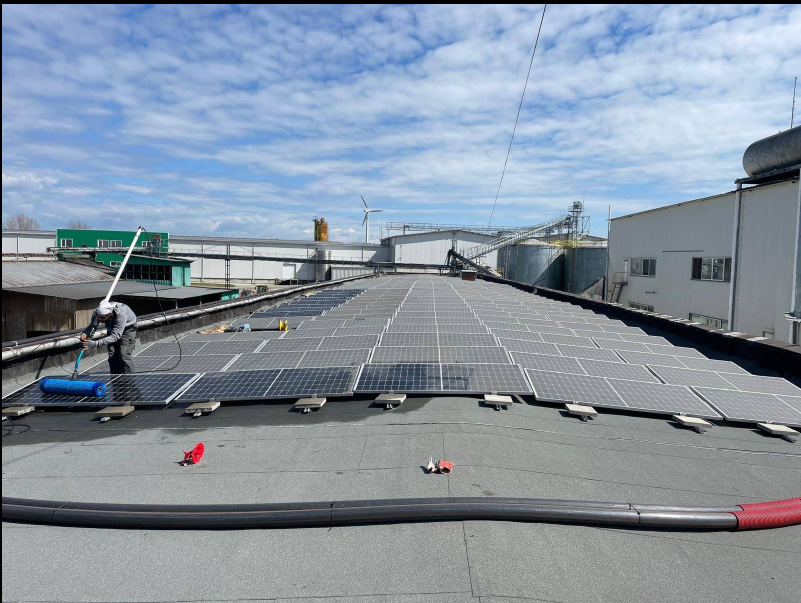 Professional solar cleaning company working on rooftop panels